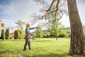 Best Weed Control  in Brodheadsville, PA